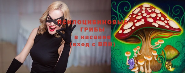 шишки Беломорск