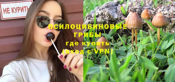 jwh Богородицк