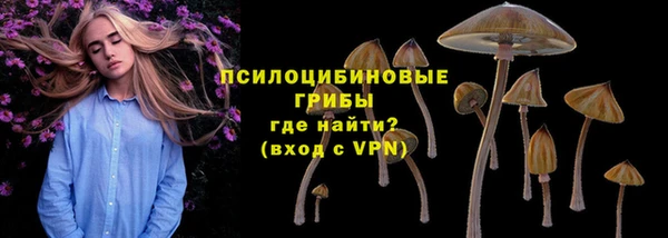 трава Богданович