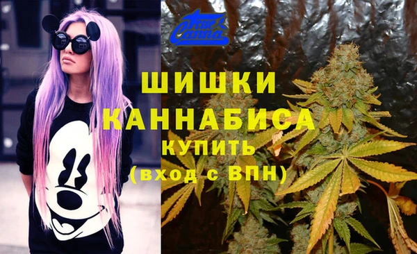 трава Богданович