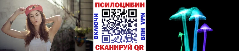 Псилоцибиновые грибы Magic Shrooms  где можно купить наркотик  Малая Вишера 